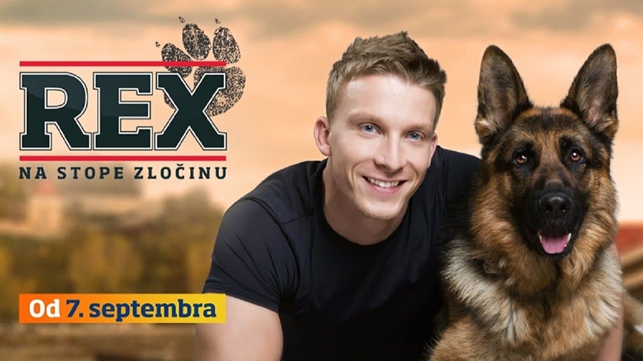 Rex Serial Online
