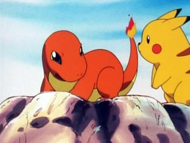 Charmander, zabłąkany Pokémon