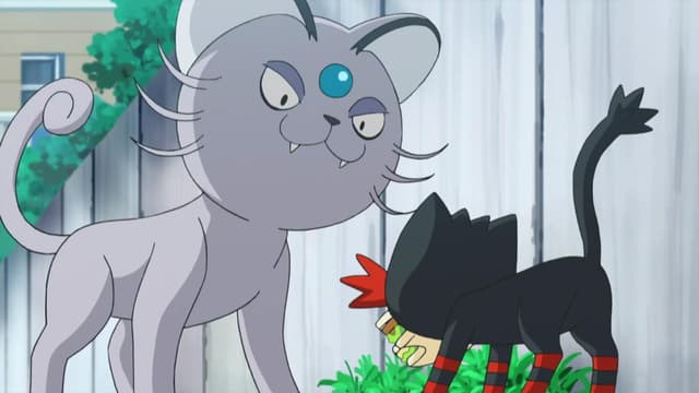 Właśnie dlatego Litten to urwis!