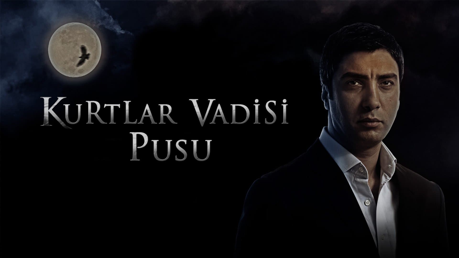 Kurtlar Vadisi: Pusu Serial Online