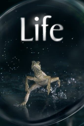 Życie Serial Online